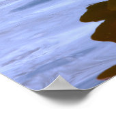 Poster Flamant sur une jambe dans l'eau (Coin)
