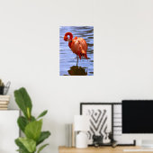 Poster Flamant sur une jambe dans l'eau (Bureau à domicile)