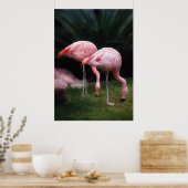 Poster Flamant - Un ensemble de flamants roses (Cuisine)