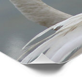 Poster flamants roses (Coin)