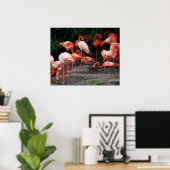 Poster Flamants roses (Bureau à domicile)