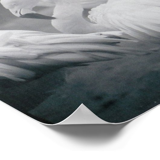 Poster Flamants roses (Coin)