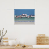 Poster Flamants roses-affiches (Cuisine)