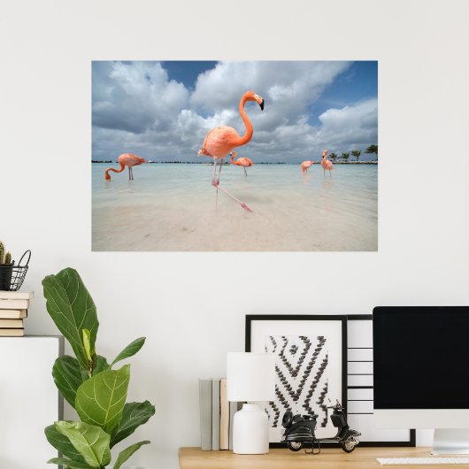 Poster Flamants roses Beach Aruba (Bureau à domicile)