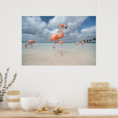 Poster Flamants roses Beach Aruba (Cuisine)