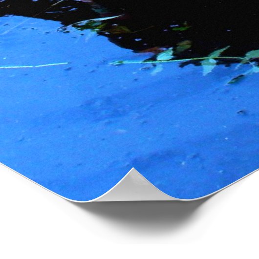 Poster Flamants roses dansant (Coin)