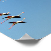 Poster Flamants roses en vol (Coin)