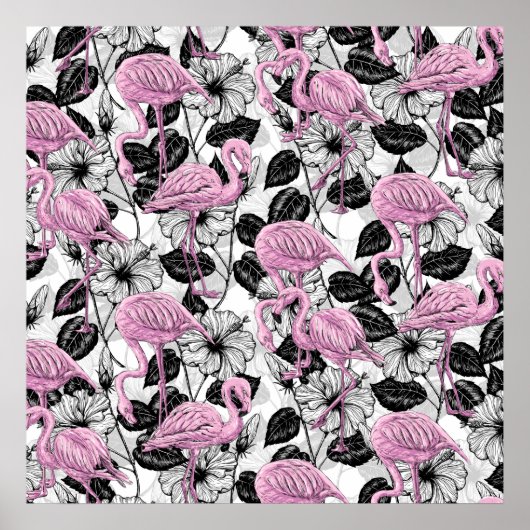 Poster Flamants roses et fleurs d'hibiscus (Devant)