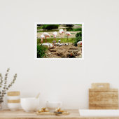 Poster Flamants roses et poussins (Cuisine)