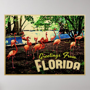 Poster Flamants roses roses de Floride