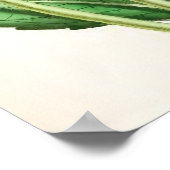 Poster "Flambeau Dahlia" Vintage Illustration (Coin)