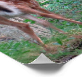 Poster Flambée Fawn (Coin)