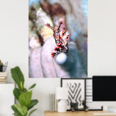 Poster Flambouyant Nudi (Bureau à domicile)