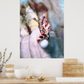 Poster Flambouyant Nudi (Cuisine)