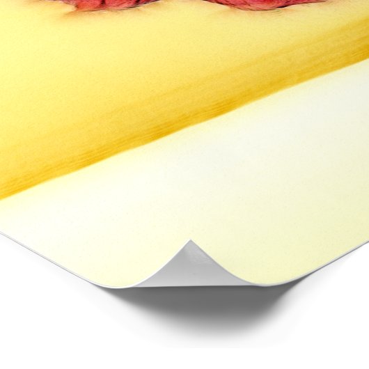 POSTER FLAMENCO (Coin)