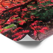 Poster Flaming Gnarly Japanese Maple Tree (Coin)