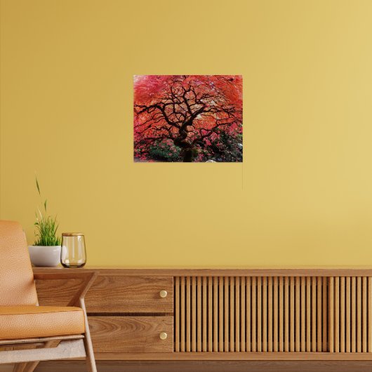 Poster Flaming Gnarly Japanese Maple Tree (Salon 2)