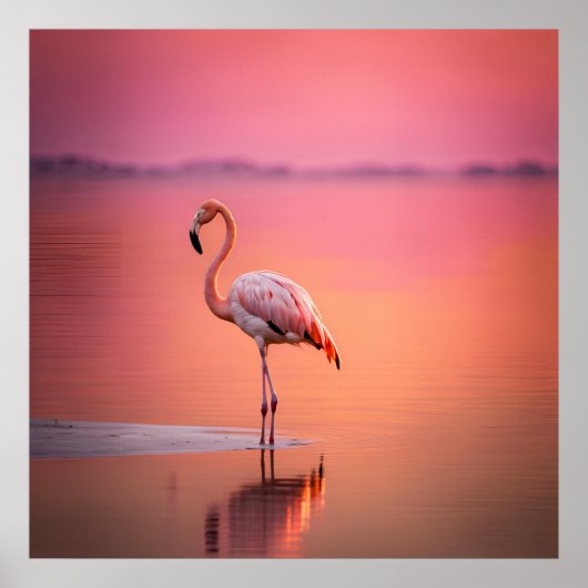 Poster Flamingo Grace Blush Or (Devant)