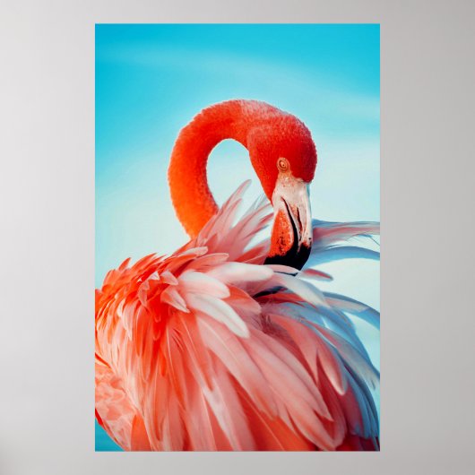 Poster Flamingo wall art (Devant)