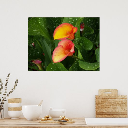 Poster Flamme Calla. (Cuisine)