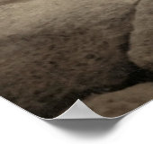 Poster Flapper Girls Sunrise Khufu Pyramid, Égypte 1920 (Coin)