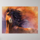 Poster Flash (Devant)