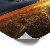 Poster flash-845848 ARBRE D'ÉCLAIRAGE D'IMAGINAIRE BACKGR (Coin)