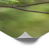 Poster Flashy Vermillion (Coin)