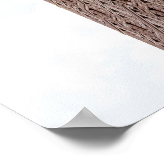 Poster Flatiron building  (Coin)