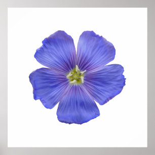 Poster Flèche bleue n° 1