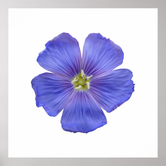 Poster Flèche bleue n° 1 (Devant)