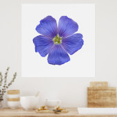 Poster Flèche bleue n° 1 (Cuisine)