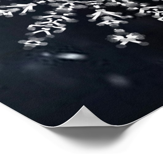 Poster Flèche de neige (Coin)