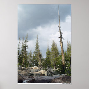Poster Flèche de tempête