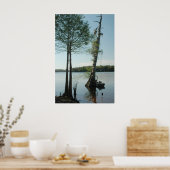 Poster Flèche sur la rivière Suwannee Imprimer (Cuisine)