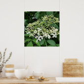 Poster fleur (Cuisine)