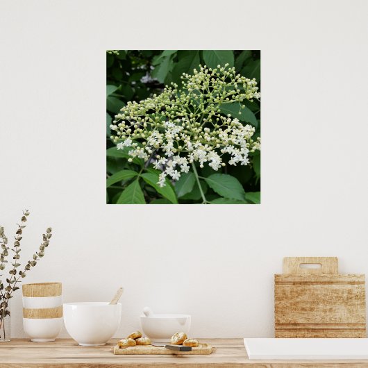 Poster fleur (Cuisine)