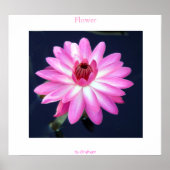 Poster Fleur (Devant)