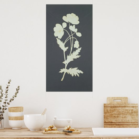 Poster Fleur (Cuisine)