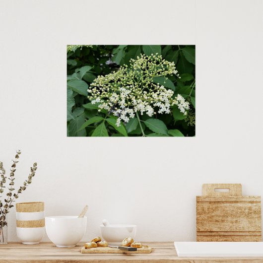 Poster fleur (Cuisine)