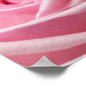 Poster Fleur (Coin)