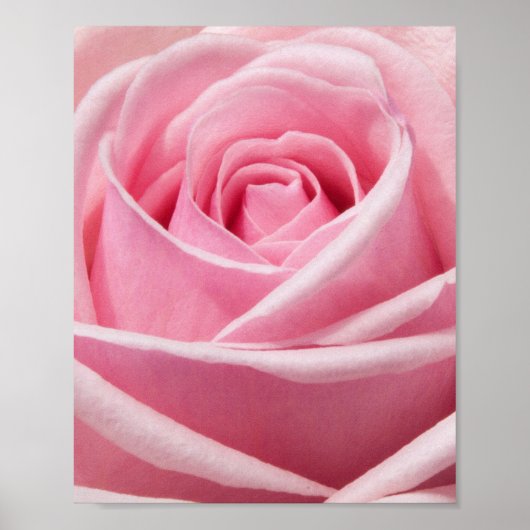 Poster Fleur (Devant)
