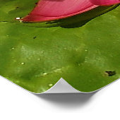 Poster Fleur (Coin)