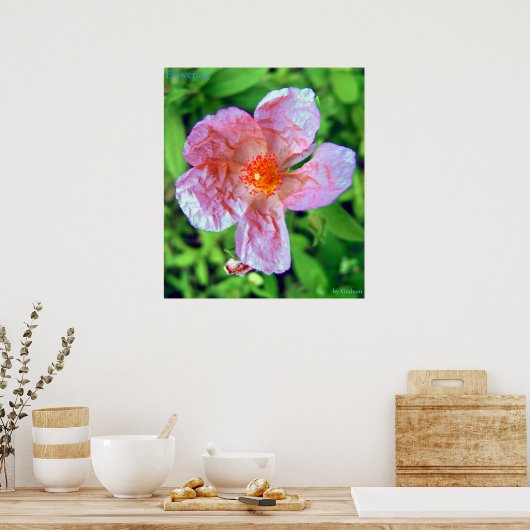 Poster Fleur (Cuisine)