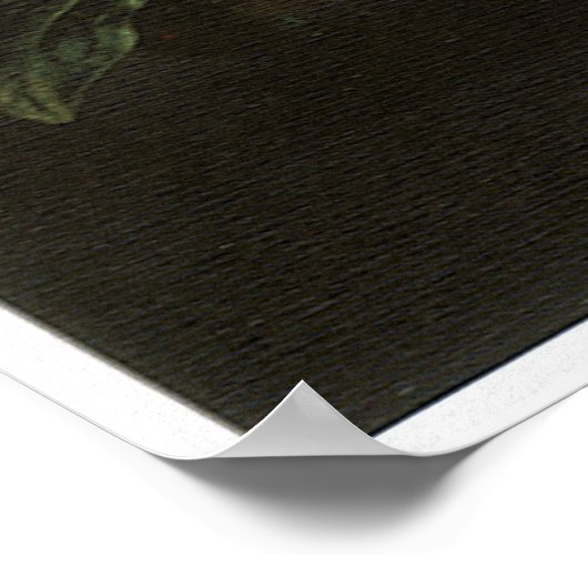 Poster Fleur, 1701 (Coin)