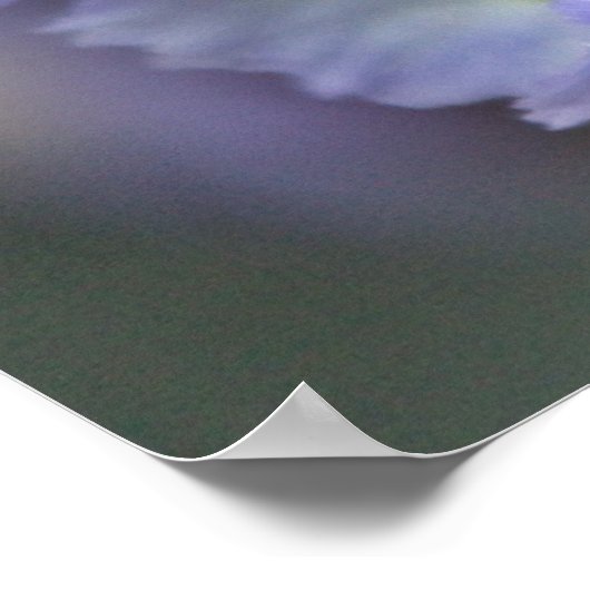 Poster Fleur #3 (Coin)