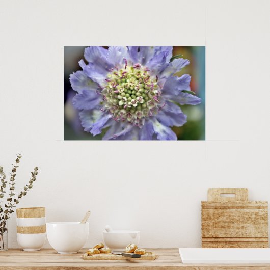 Poster Fleur #3 (Cuisine)