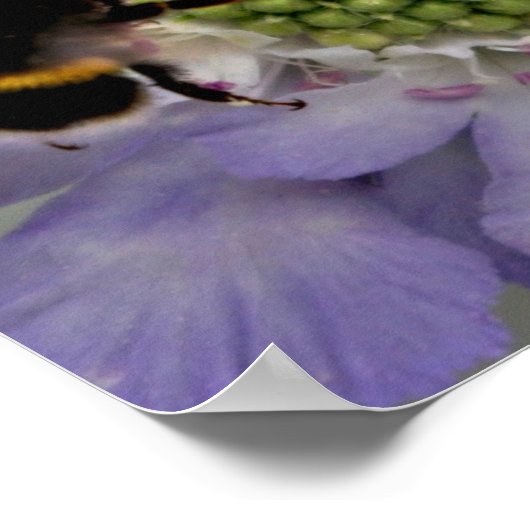 Poster Fleur #6 (détail) (Coin)