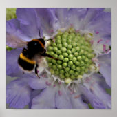 Poster Fleur #6 (détail) (Devant)