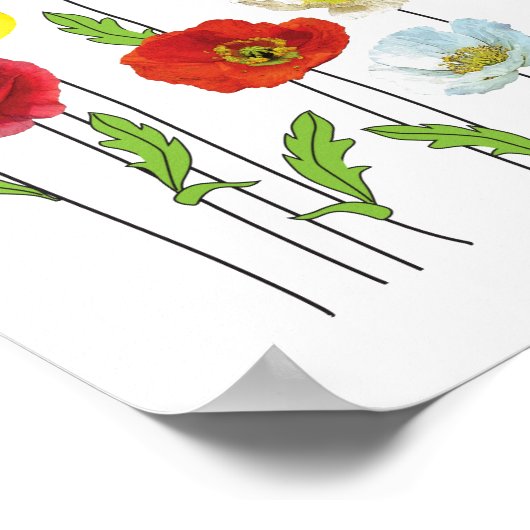 Poster Fleur à la pavot (Coin)